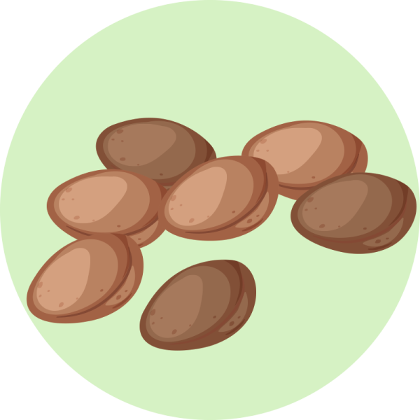 semillas